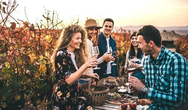 san diego wineries tours